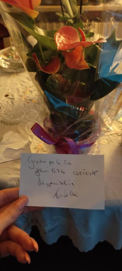 B&B Ammore Castellammare di Stabia Zewnętrze zdjęcie